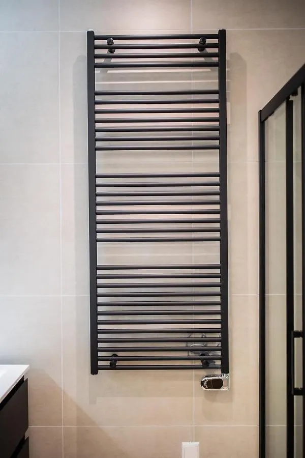 Lavish 1 Bedroom Apartment 50M2 -Ss177L- Rotterdam 0*,  Netherlands